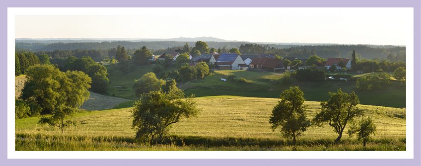 Großstadt oder Land: Blick auf ein Weiler im Ostalbkreis