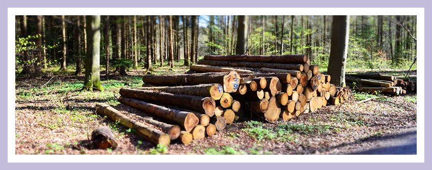 Preissteigerungen bei Baustoffen wie z. B. Holz