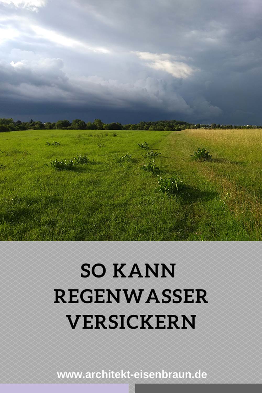 So kann Regenwasser versickern