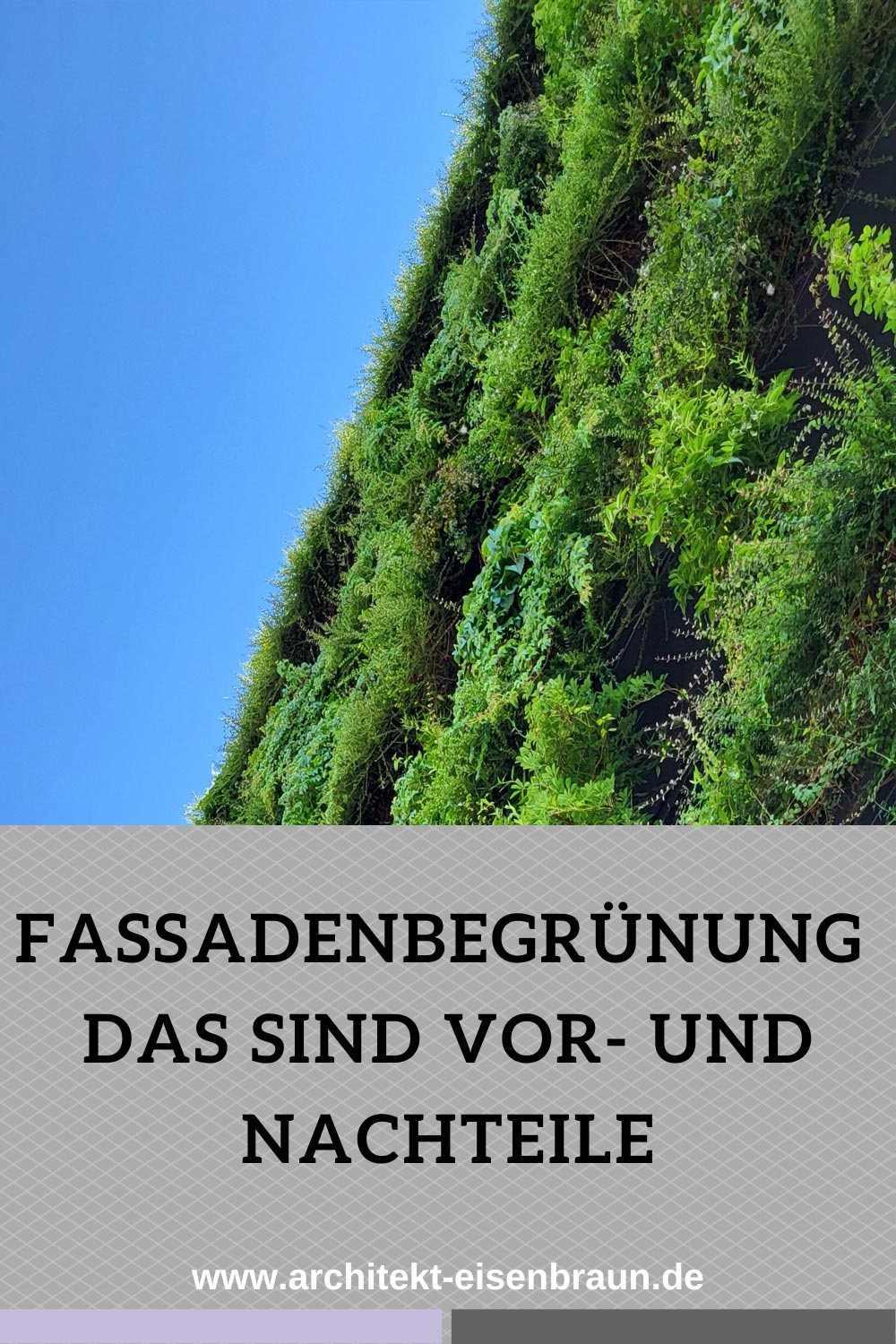 Fassadenbegrünung: Das sind Vorteile und Nachteile